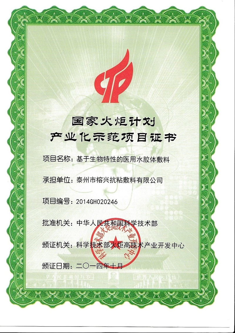 4   2014年火炬计划（基于生物特性的医用水胶体敷料）.jpg
